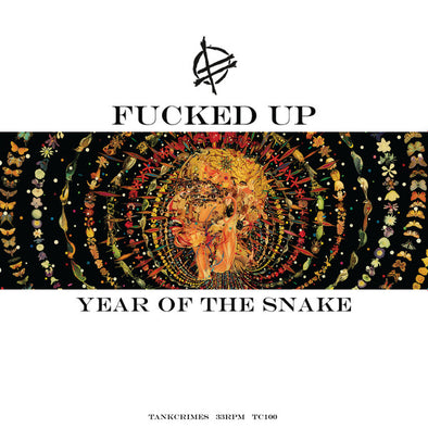 Year Of The Snake