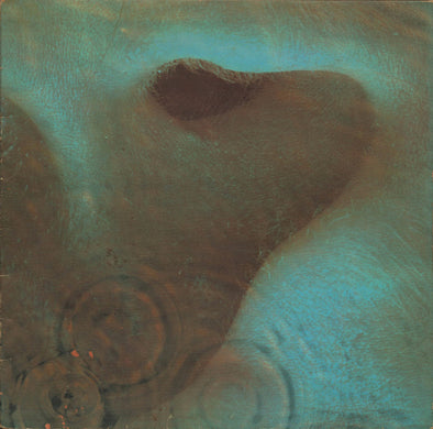 Meddle