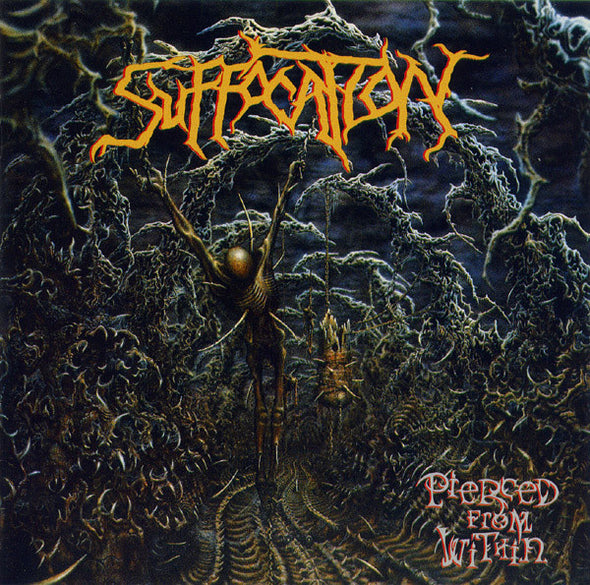 Pierced From Within : CD