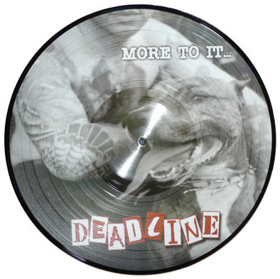 More To It... : Picture Disc