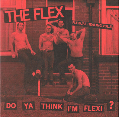 Flexual Healing Vol. 5: Do Ya Think I'm Flexi? : Coloured Vinyl