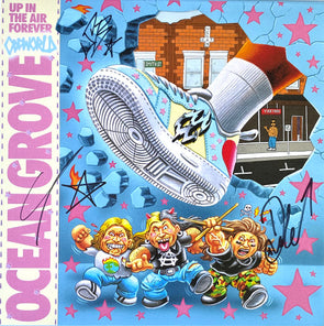Up In The Air Forever : Picture Disc
