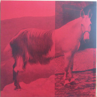 Goathorse