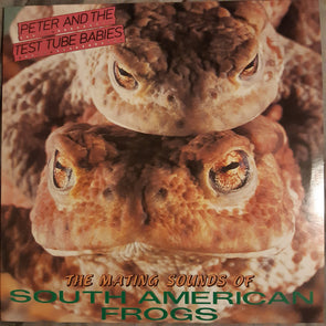The Mating Sounds Of South American Frogs
