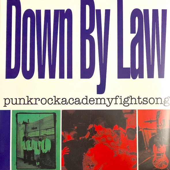 Punkrockacademyfightsong : Coloured Vinyl