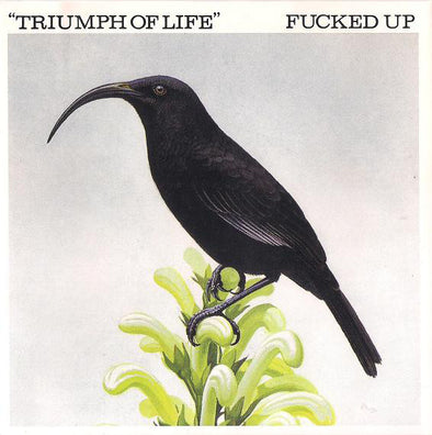Triumph Of Life : Coloured Vinyl
