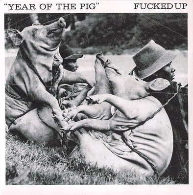 Year Of The Pig