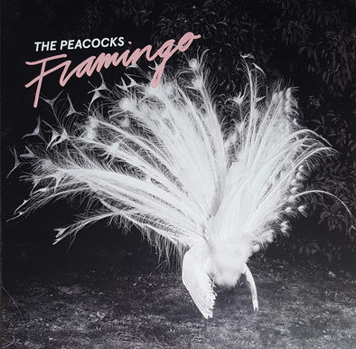 Flamingo : Coloured Vinyl