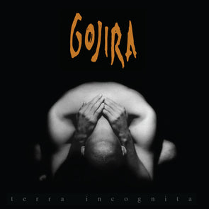 Terra Incognita : Grey Vinyl