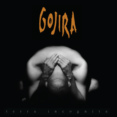 Terra Incognita : Grey Vinyl